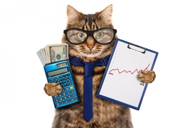 Przedsiębiorczy kot z dolarami, kalkulatorem i notatnikiem