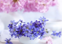 Kwiaty, Niebieskie, Przylaszczki, Rozmycie