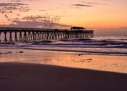 Morze, Molo, Ptaki, Wschód słońca, Plaża, Myrtle Beach State Park, Karolina Południowa, Stany Zjednoczone
