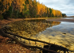 Rezerwat przyrody w zachodniej części Zbiornika Rybińskiego w Rosji