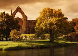 Ruiny, Opactwo Bolton Priory, Rzeka, Drzewa, Ogrodzenie, Cmentarz, Bolton Abbey, Hrabstwo North Yorkshire, Anglia