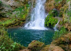 Roślinność przy skalnym wodospadzie Lisine w Serbii
