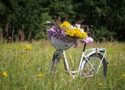 Rower z koszykiem kwiatów na łące