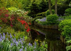 Ogród Keukenhof, Park, Krzewy, Różaneczniki, Kwiaty, Dzwonki, Staw, Drzewa, Lisse, Holandia