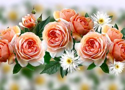 Róże i białe kwiaty w grafice