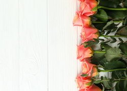 Kwiaty, Róże, Liście, Deski