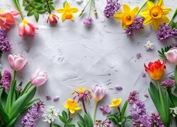 Różne wiosenne kwiaty ułożone na jasnym tle