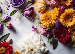 Kwiaty, Gerbery, Tulipany, Kompozycja, Grafika