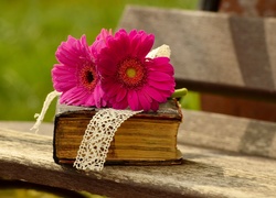 Różowe gerbery leżą na książce