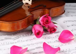 Różowe róże i skrzypce położone na nutach