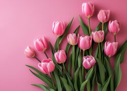 Różowe, Tulipany, Liście, Kwiaty, Różowe tło