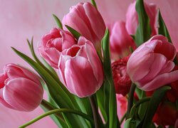 Różowe tulipany w bukiecie