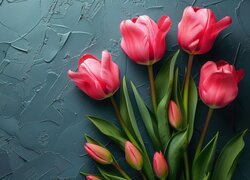 Różowe, Tulipany, Pąki, Liście