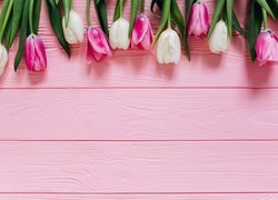 Białe, Różowo-białe, Tulipany, Różowe, Deski