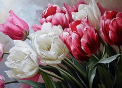 Rozwinięte białe i różowe tulipany z liśćmi