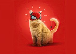 Rudy kot w masce Spider-Mana na czerwonym tle