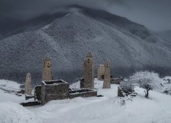 Zima, Góry, Kaukaz, Budowle, Ruiny, Wieże obronne, Drzewo, Drzewa, Erzi, Republika Inguszetii, Rosja