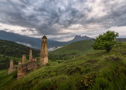 Góry, Kaukaz, Ruiny, Wieże obronne, Drzewa, Trawa, Kwiaty, Republika Inguszetii, Rosja