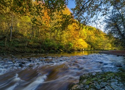 Rwąca rzeka płynącą po kamieniach przez jesienny las