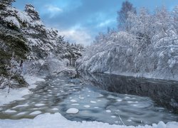 Rzeczka w norweskiej gminie Surnadal zimą