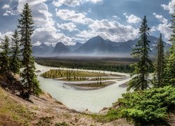 Kanada, Park Narodowy Jasper, Góry, Rzeka Athabaska, Las, Drzewa, Chmury
