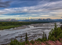 Drzewa, Góry, Alaska Range, Rzeka, Chulitna River, Park Narodowy Denali, Alaska, Stany Zjednoczone