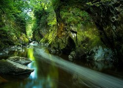 Wąwóz Fairy Glen, Rzeka Conwy, Wioska Betws y Coed, Walia, Park Narodowy Snowdonia, Kamienie, Skały, Drzewa