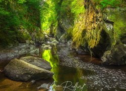 Wąwóz Fairy Glen, Rzeka Conwy, Wioska Betws y Coed, Park Narodowy Snowdonia, Kamienie, Skały, Drzewa, Walia