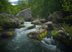 Rzeka Czorna, Kamienie, Mech, Drzewa, Dolina Bajdarska, Krym