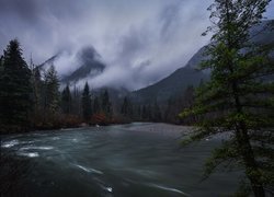 Rzeka, Gold Creek, Góry, Drzewa, Kolumbia Brytyjska, Kanada