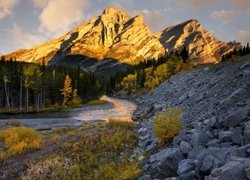 Rzeka i rozświetlone góry Mount Kidd w Kanadzie