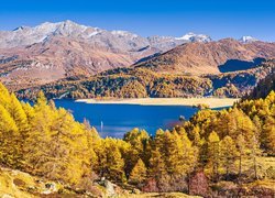 Jesień, Góry, Rzeka Inn, Żółte, Drzewa, Dolina Engadyna, Szwajcaria