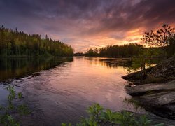 Finlandia, Rzeka Neitijoki, Las, Drzewa, Zachód słońca, Chmury Rzeka