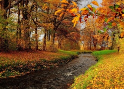Jesień, Rzeka, Las, Drzewa