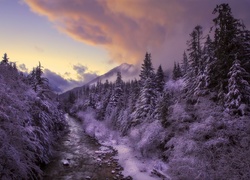 Rzeka płynąca przez zimowy las