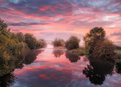 Rzeka, River Stour, Drzewa, Mgła, Chmury, Odbicie, Anglia