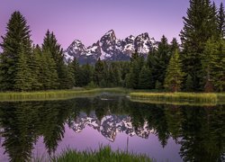 Park Narodowy Grand Teton, Rzeka Snake River, Góry, Teton Range, Las, Drzewa, Odbicie, Stan Wyoming, Stany Zjednoczone