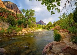 Park Narodowy Zion, Góry Watchman, Rzeka Virgin River, Kamienie, Drzewa, Stan Utah, Stany Zjednoczone