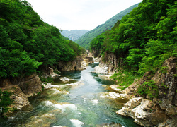 Japonia, Wyspa Honsiu, Park Narodowy Nikko, Rzeka, Kamienie, Drzewa, Góry