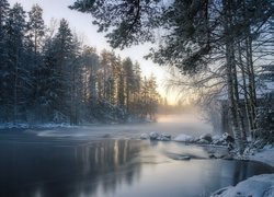 Rzeka w zimowym lesie o wschodzie słońca