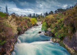 Rzeka, Waikato River, Drzewa, Skały, Nowa Zelandia