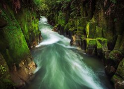 Rzeka wśród omszałych skał w Nowej Zelandii