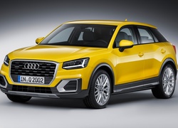 Żółte, Audi Q2, 2016
