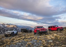 Samochody Jeep Wrangler JL Rubicon 2018