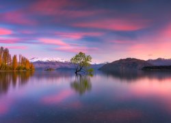 Zachód słońca, Jezioro Wanaka, Nowa Zelandia, Drzewo, Góry