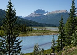 Góry, Canadian Rockies, Rzeka, Saskatchewan River, Drzewa, Park Narodowy Banff, Kanada