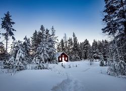 Ścieżka w śniegu prowadzi do drewnianego domu pod ośnieżonym lasem