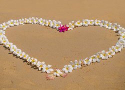Serce z kwiatów na plaży