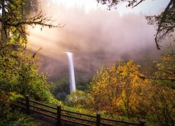 Wodospad, South Falls, Jesień, Skały, Drzewa, Trawa, Park stanowy Silver Falls, Stan Oregon, Stany Zjednoczone