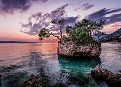Morze, Plaża, Punta Rata, Skała, Kamen Brela, Drzewa, Chorwacja